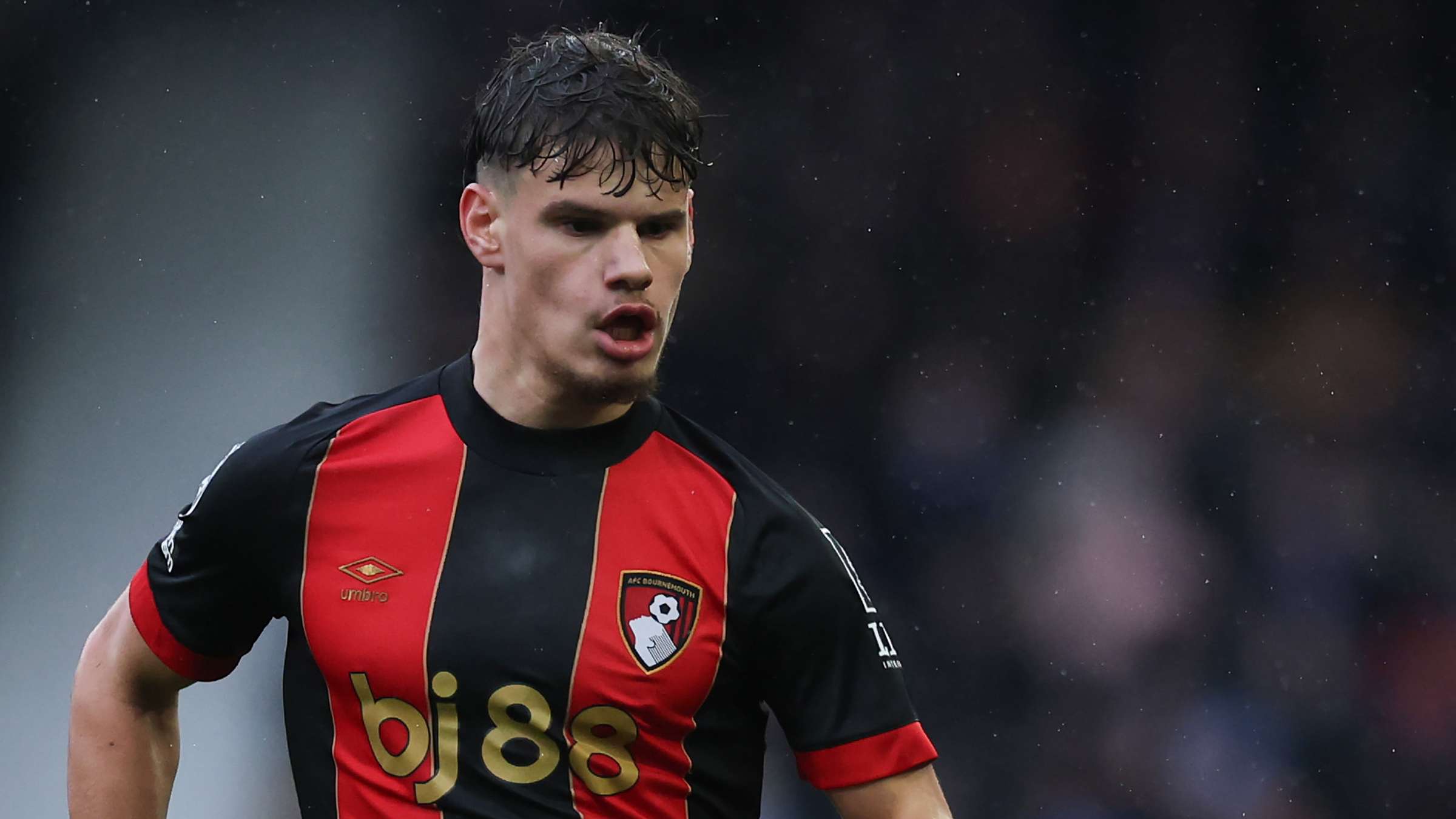 不仅影响了 不仅影响了