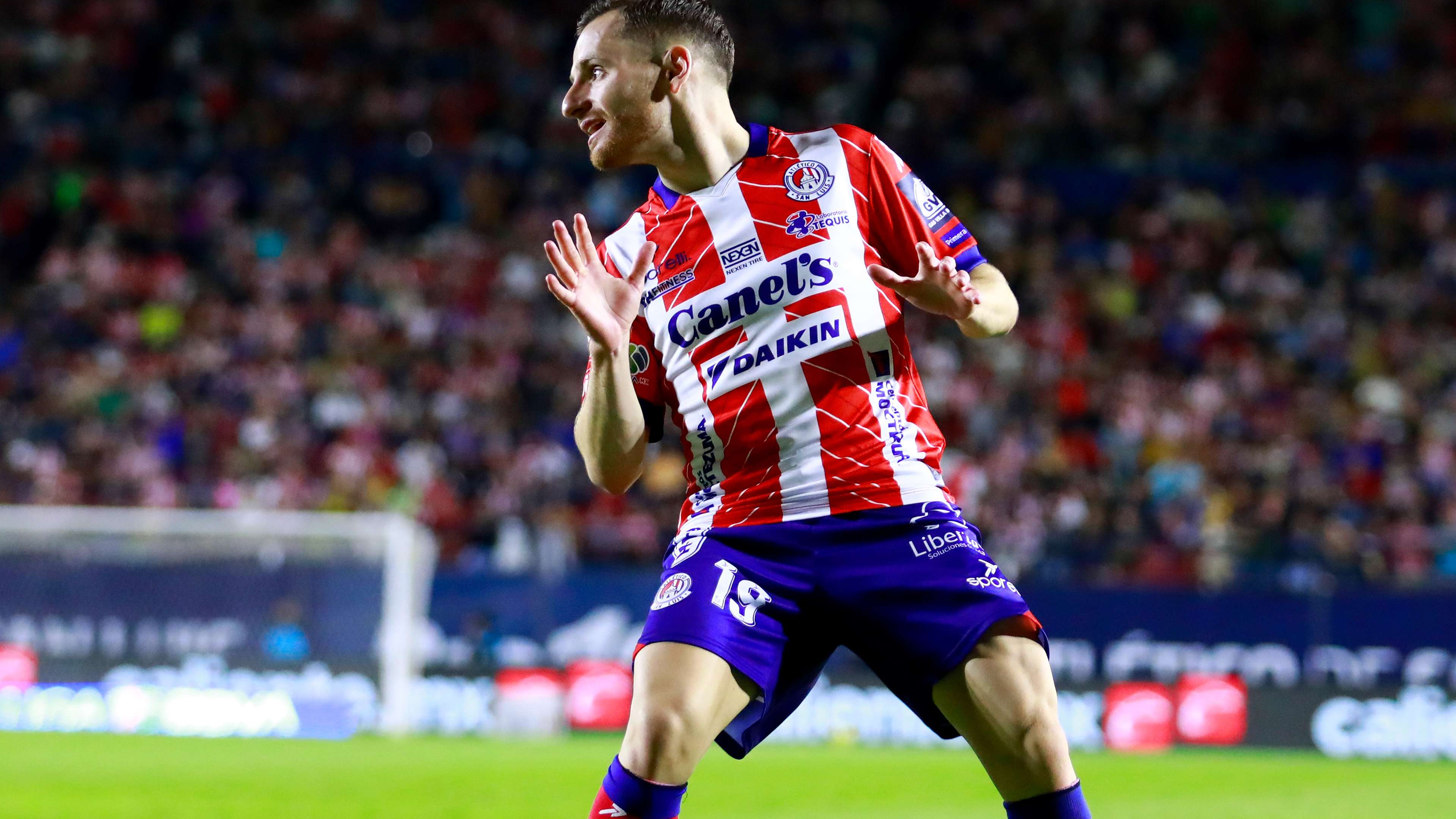 出现了球迷 出现了球迷