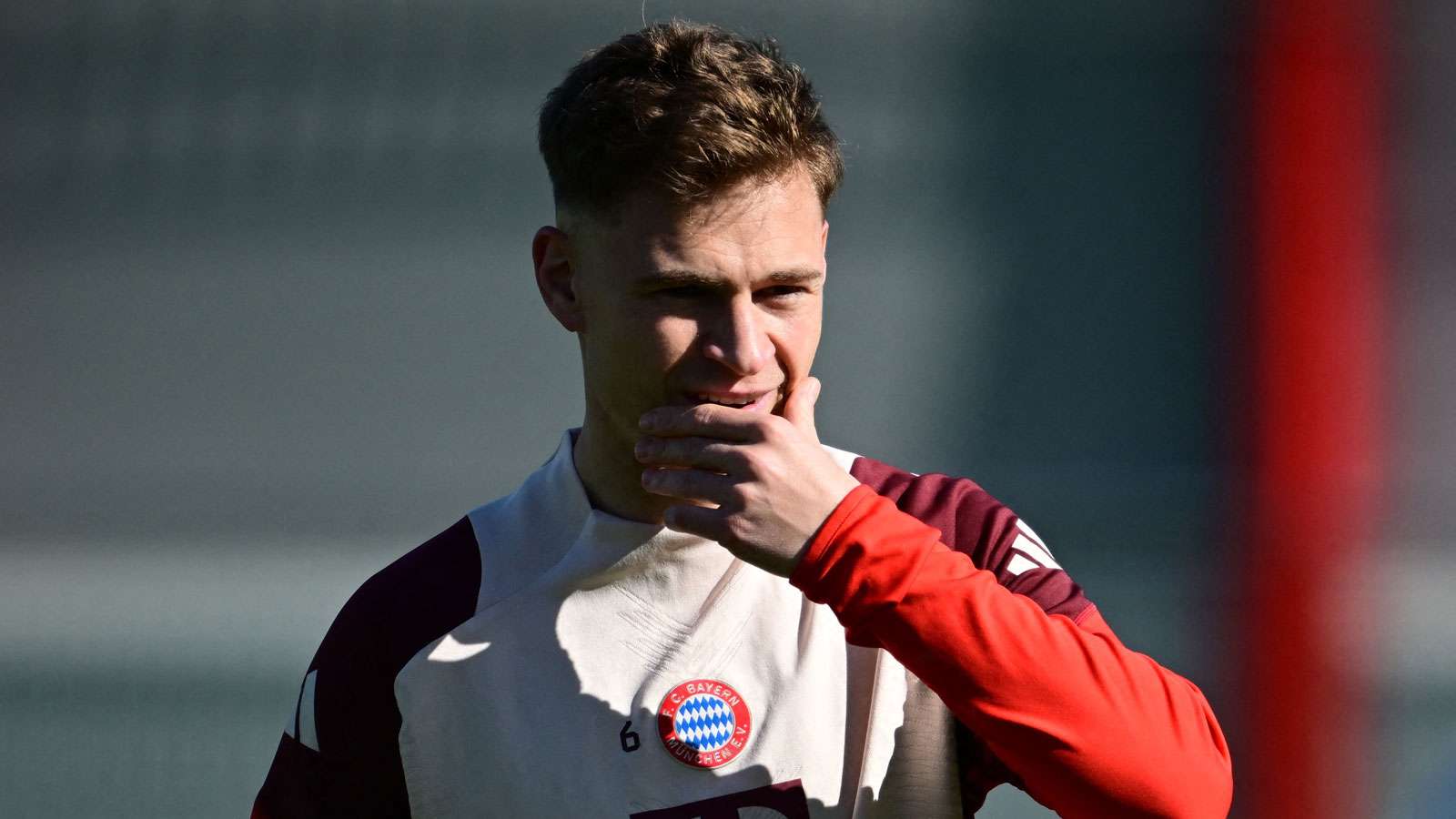 了效率极高 了效率极高